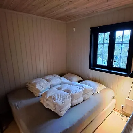 Feriehus Cozy In Rauland Vierli Torvetjørn