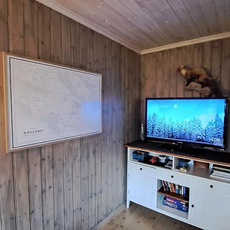 Cozy In Rauland Vierli *