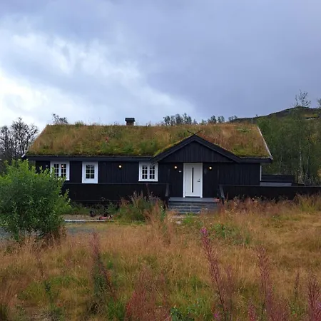 Cozy In Rauland Vierli *