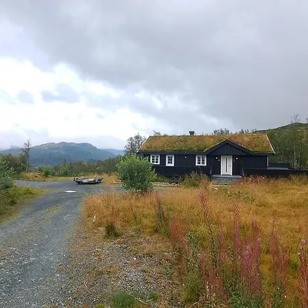 Cozy In Rauland Vierli