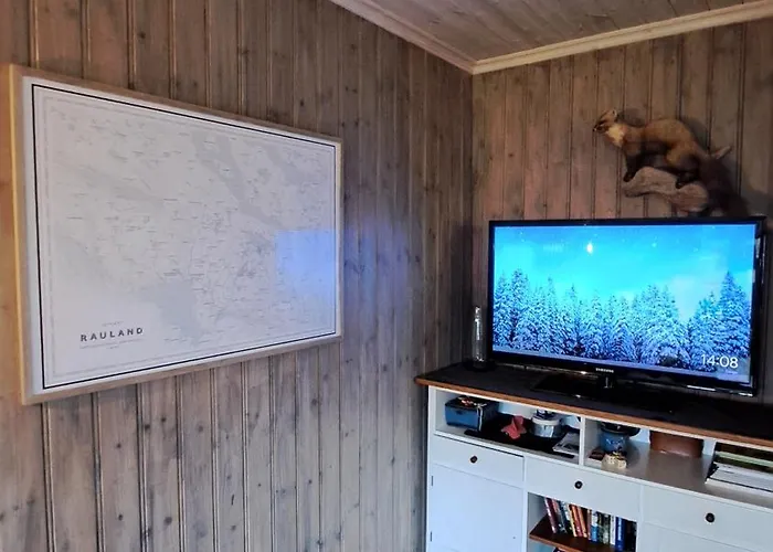 Cozy In Rauland Vierli *