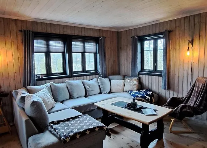 Cozy In Rauland Vierli Feriehus Torvetjørn