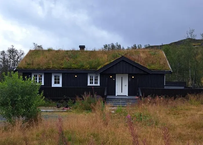 Cozy In Rauland Vierli *