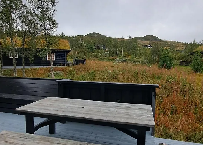 Feriehus Cozy In Rauland Vierli *