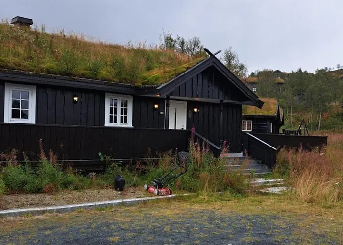 Cozy In Rauland Vierli Torvetjørn