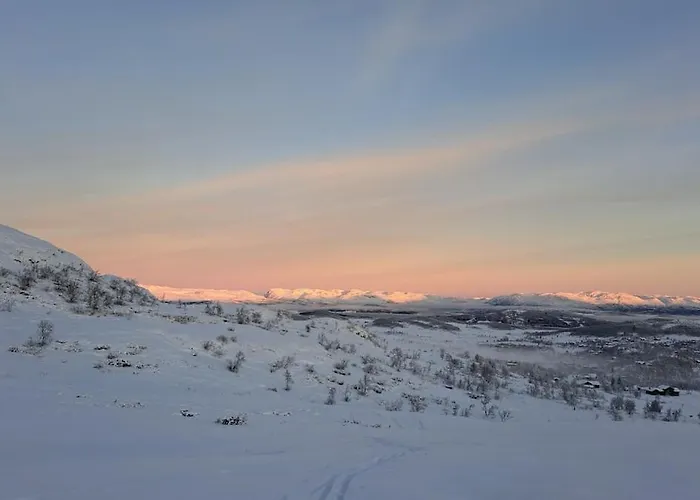 Feriehus Cozy In Rauland Vierli Torvetjørn