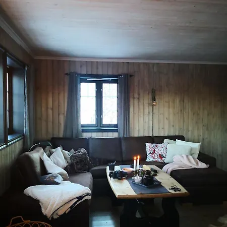 Cozy In Rauland Vierli Torvetjorn